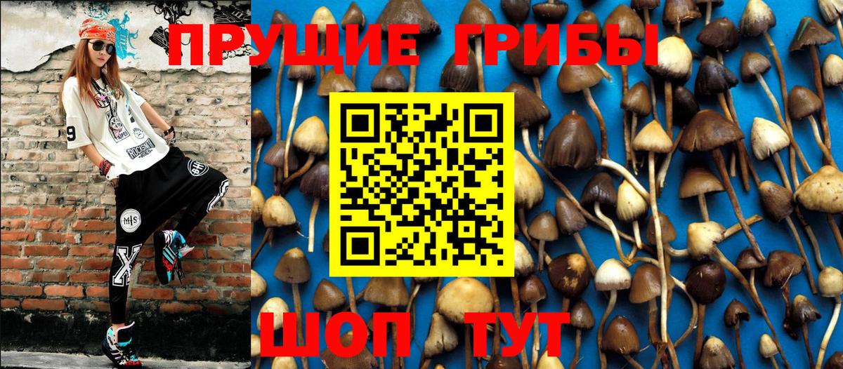 цены наркотик  Псилоцибиновые грибы ЛСД  Вход с VPN  Лысьва 